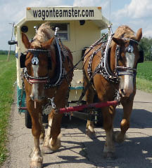 6-17-09 004_edited-1-2 6-17-09 004_edited-1-2