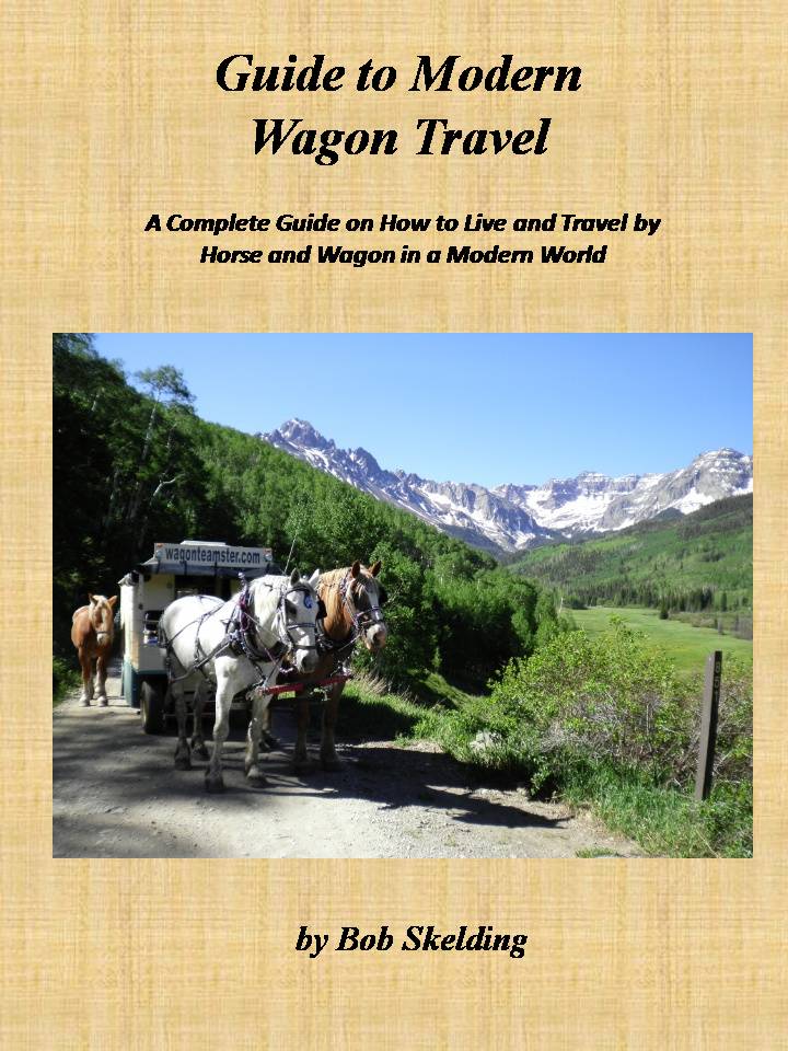 Wagon_Travel_-_Cover