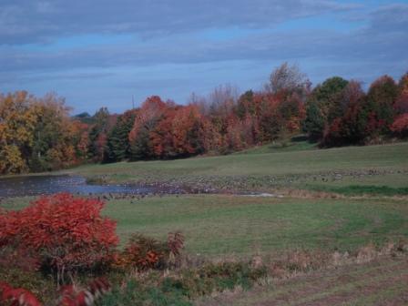 10-14-08 The Journey 001