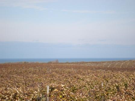 10-26-08 The Journey 003