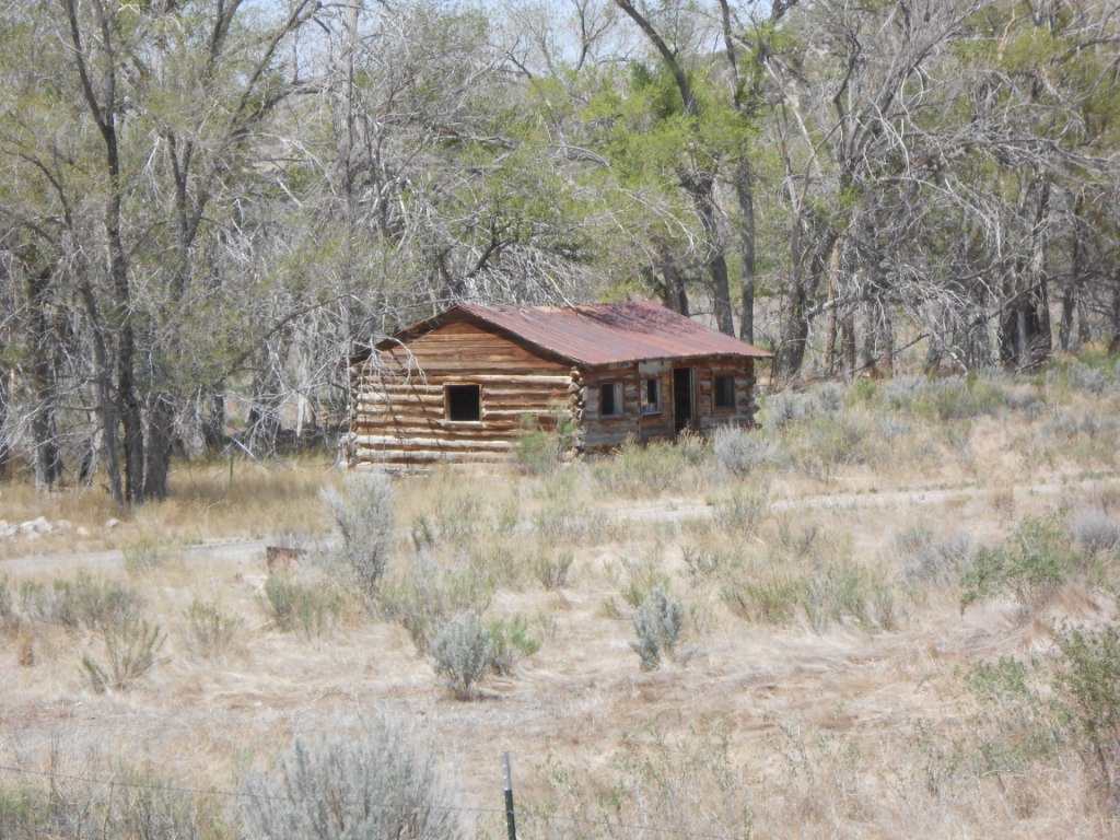 5-20-12 006
