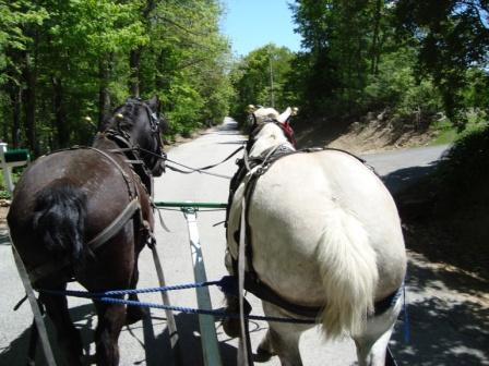 5-25-08 Wagon and Training 007