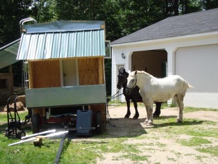 6-19-08 Deedee joyce tied to wagon