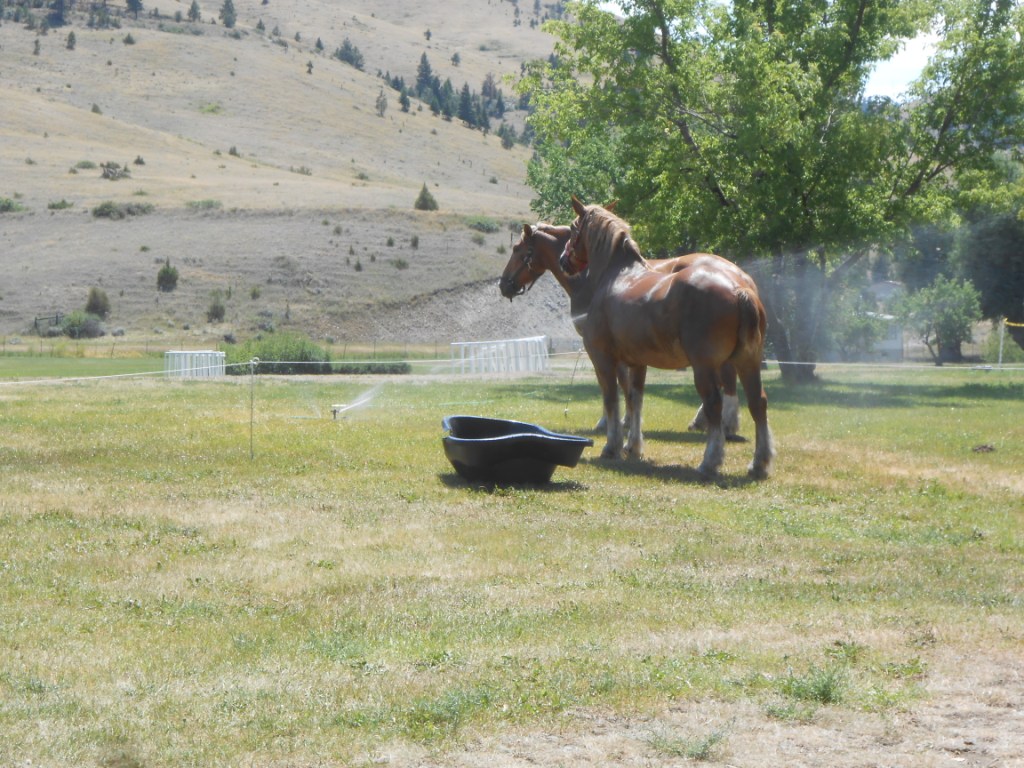 7-10-12 002