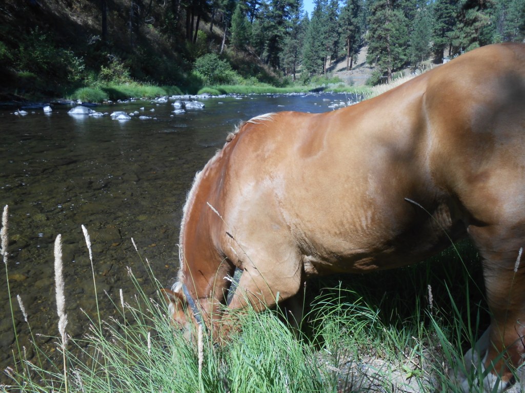 8-15-12 005
