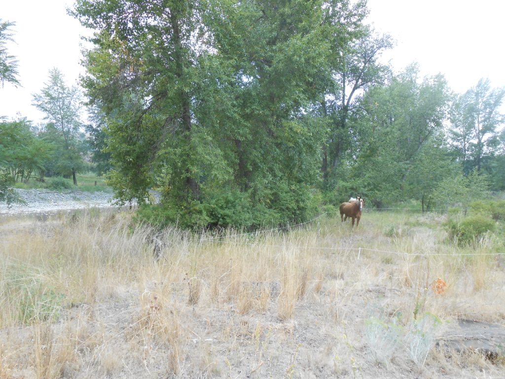 8-19-12 006