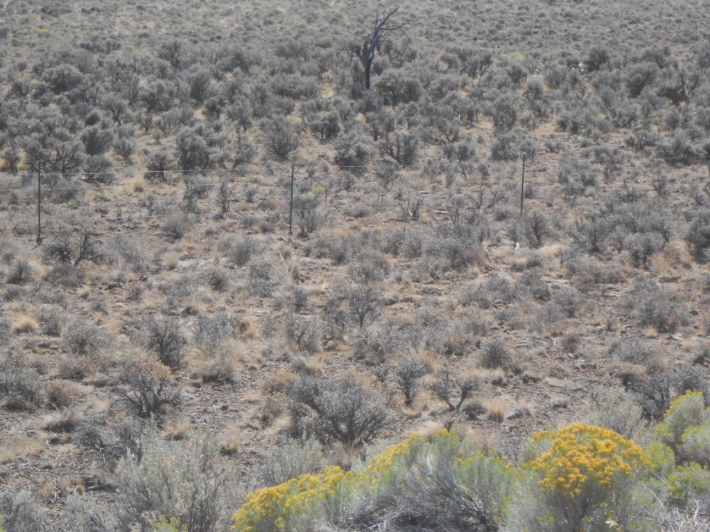 8-27-12 008 8-27-12 008