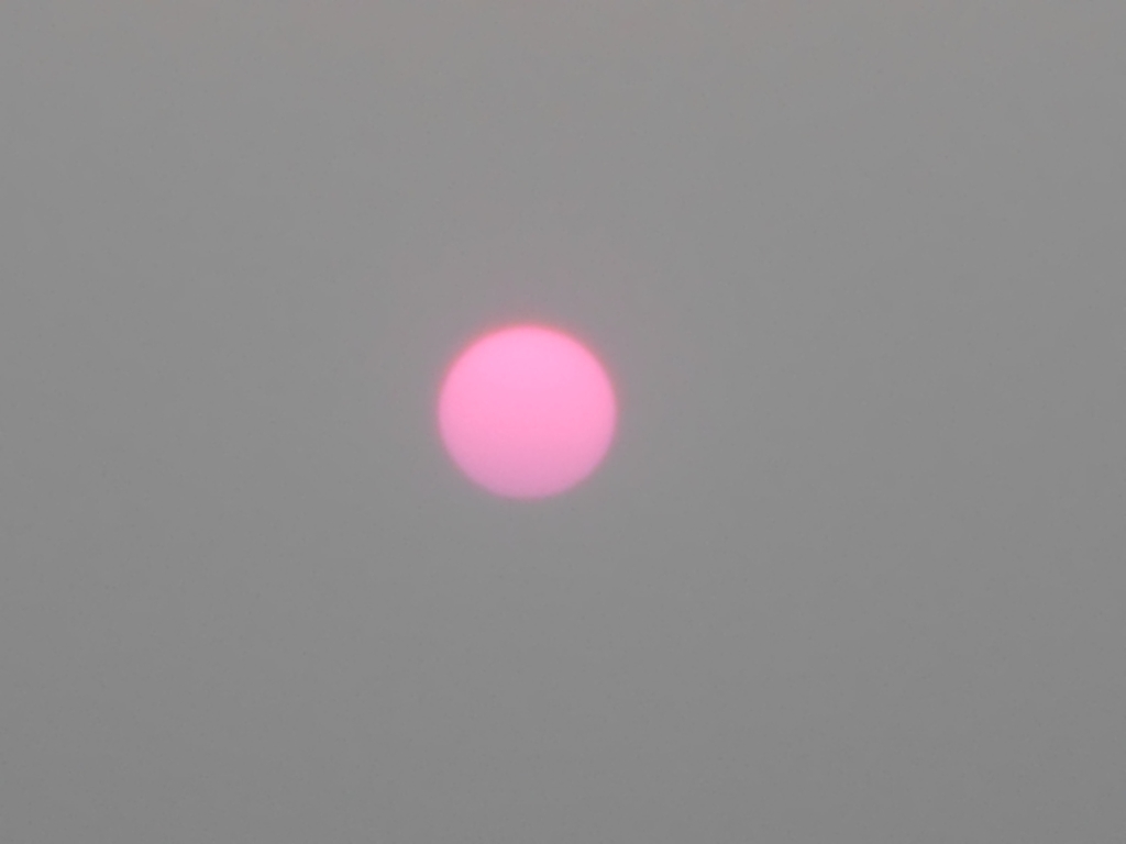 8-28-12 015 8-28-12 015