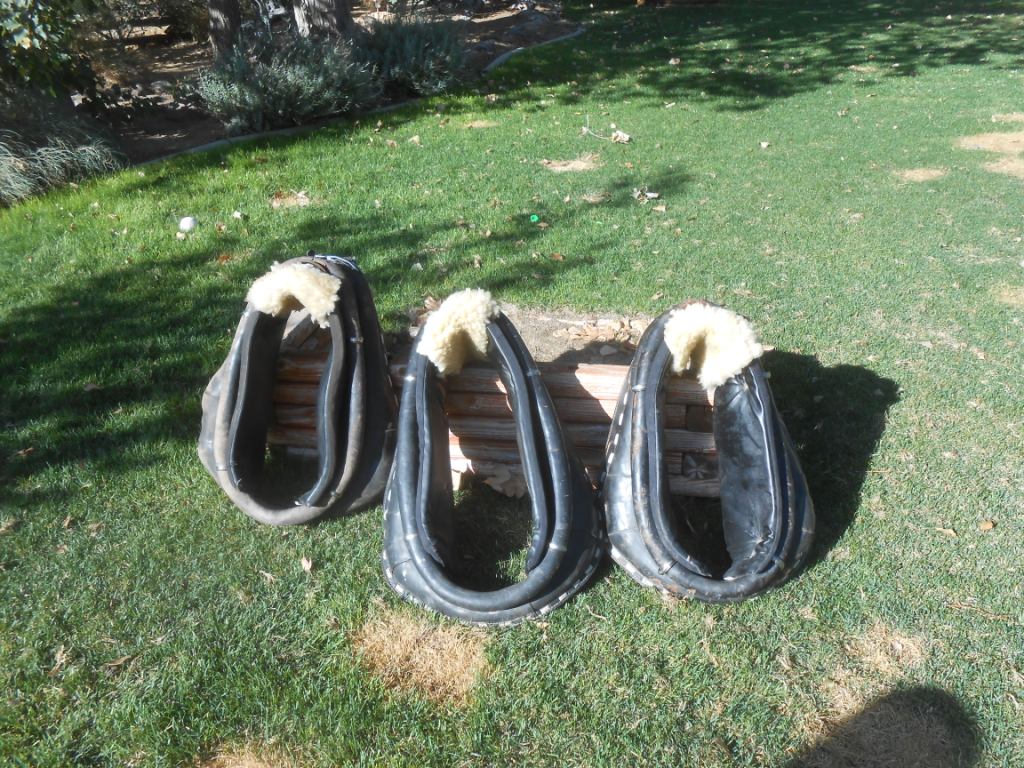 9-26-12 010 9-26-12 010