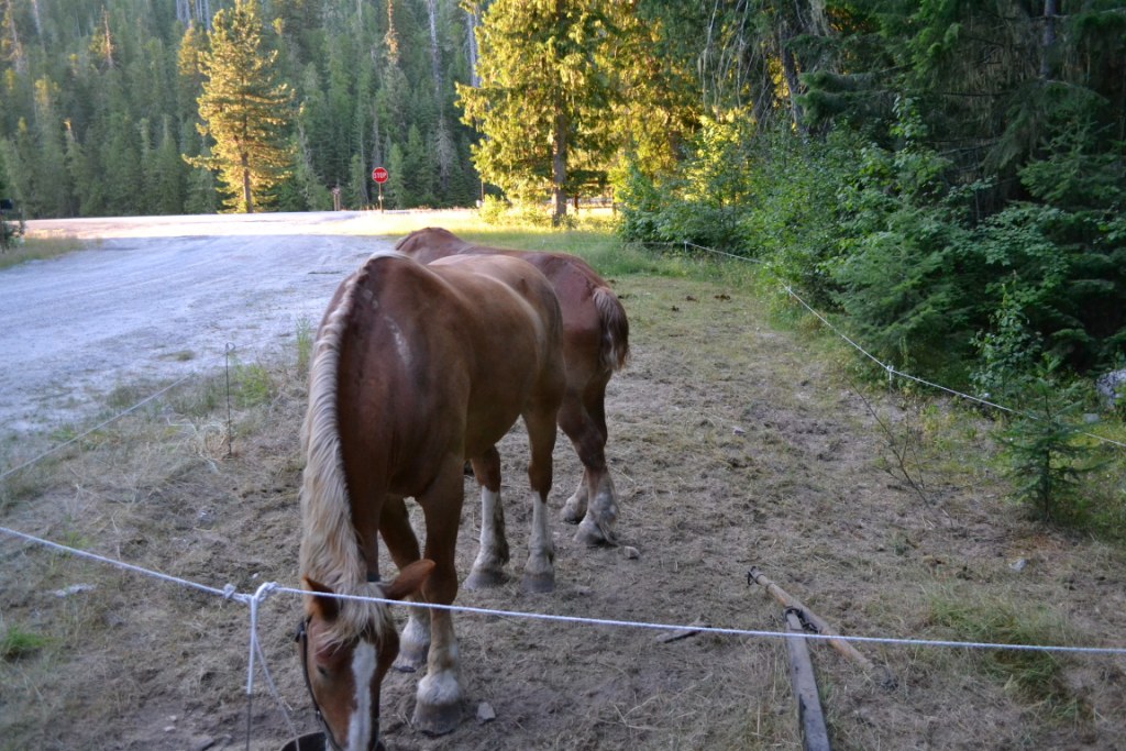 DSC_0073 DSC_0073