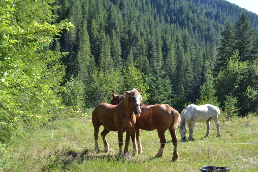 DSC_0096 DSC_0096