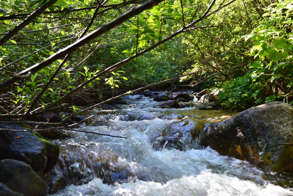 DSC_0097 DSC_0097