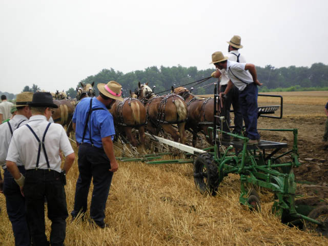 Horse Progress Days 046