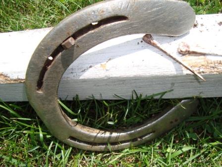 Horseshoe and Nails