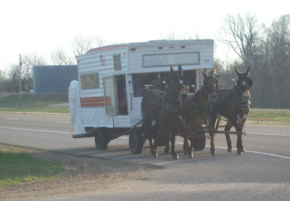 John and mules driving