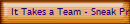 It Takes a Team - Sneak Preview