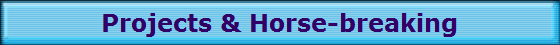 Projects & Horse-breaking