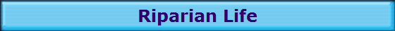 Riparian Life